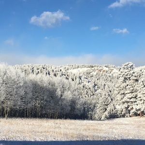 Meet your Posher, Caitlyn